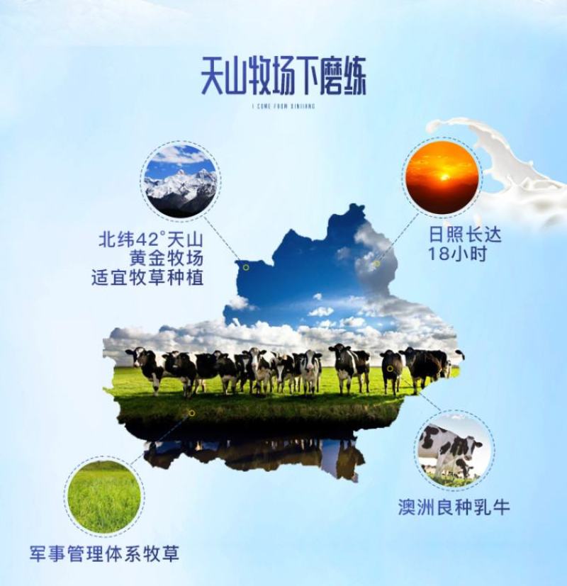 好物分享包邮新疆纯正奶啤西域春出品支持一件代发