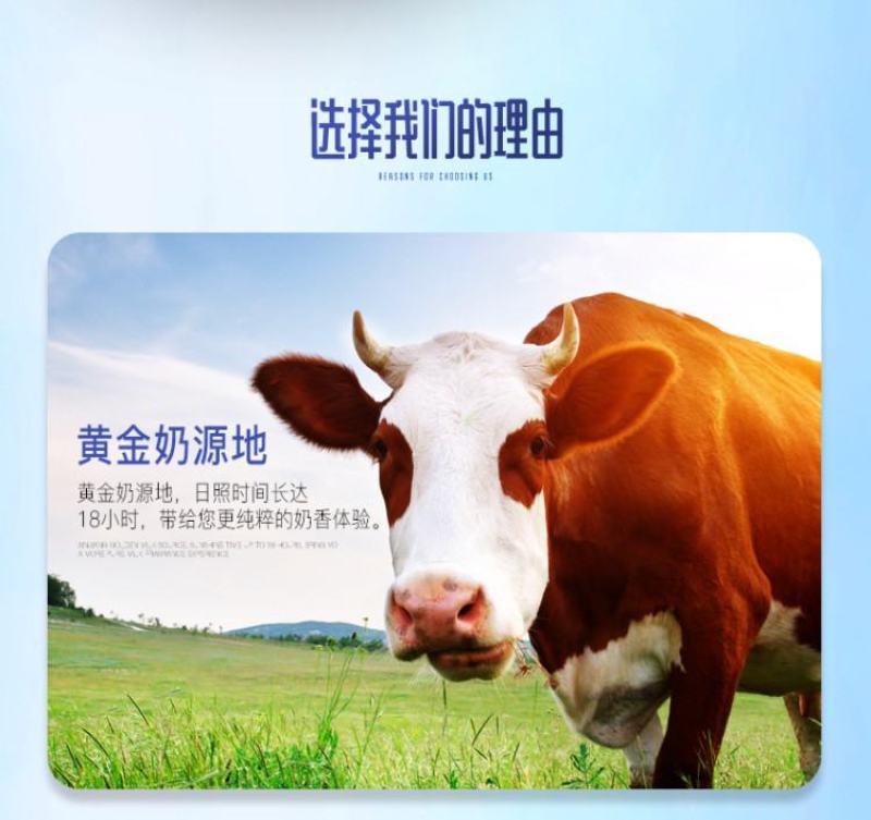 好物分享包邮新疆纯正奶啤西域春出品支持一件代发