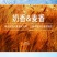 好物分享包邮新疆纯正奶啤西域春出品支持一件代发