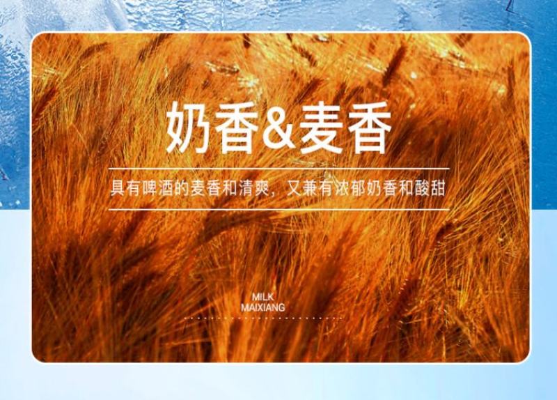 好物分享包邮新疆纯正奶啤西域春出品支持一件代发