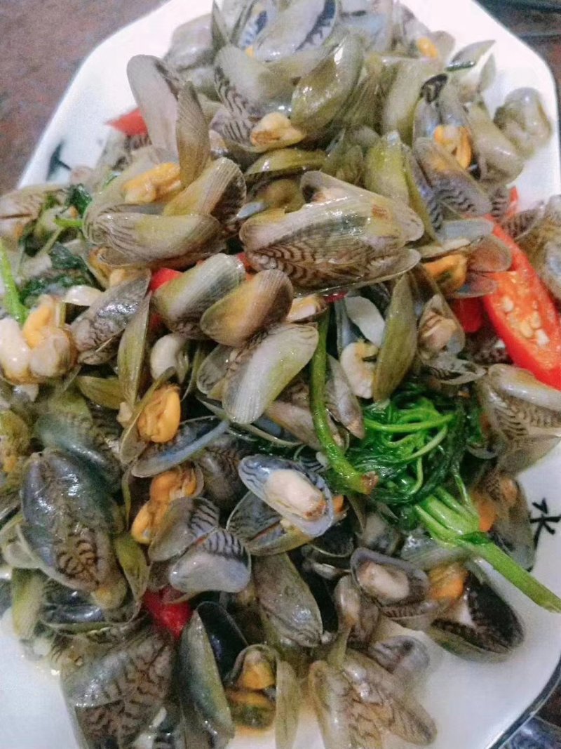 广东潮州饶平大澳薄壳海瓜子1111