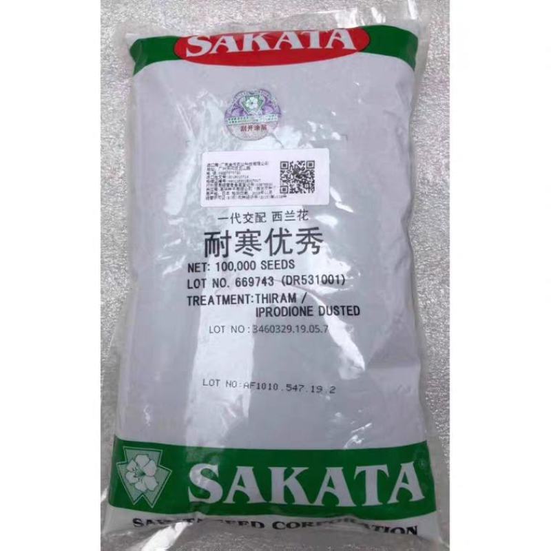 青花菜种子耐寒炎秀西蓝花种子抗性好产量高品质好
