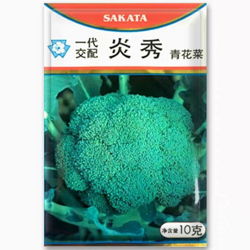 青花菜种子耐寒炎秀西蓝花种子抗性好产量高品质好
