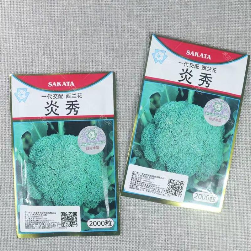 青花菜种子耐寒炎秀西蓝花种子抗性好产量高品质好
