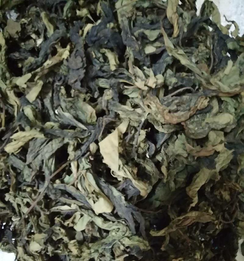 正宗马来西亚南非叶树苗干叶茶将军叶，自然晒干