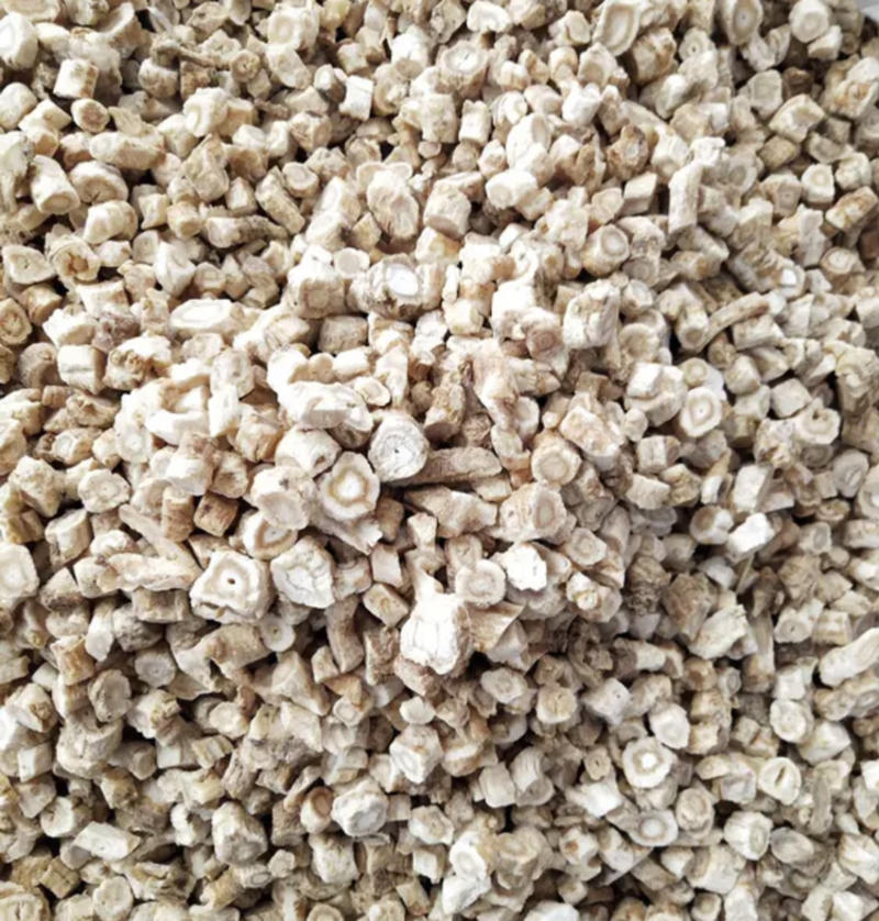 药材沙参北沙参货品质量保证批发各种中药材