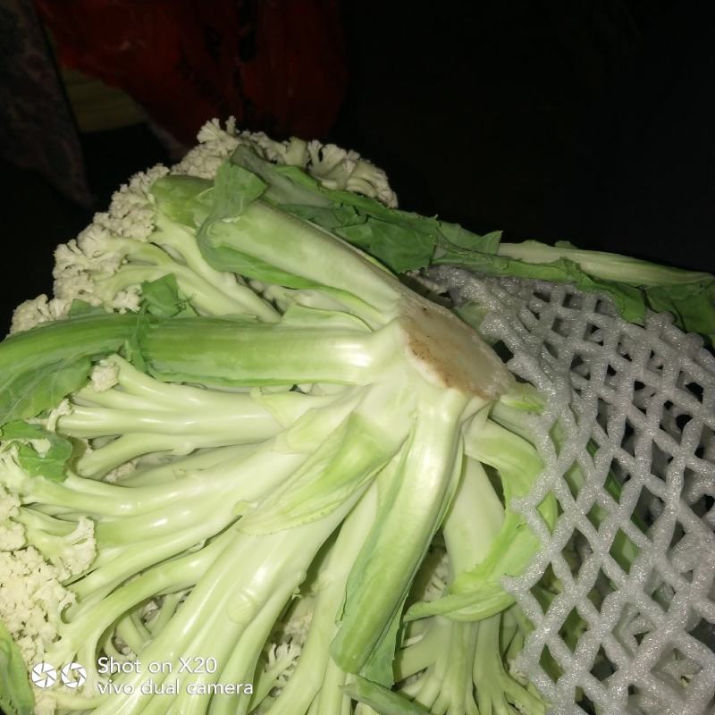 散花