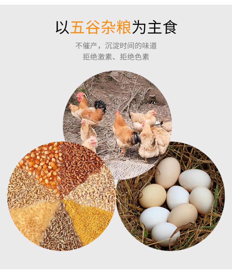 黄泥山土鸡蛋、初生蛋、笨鸡蛋、草鸡蛋