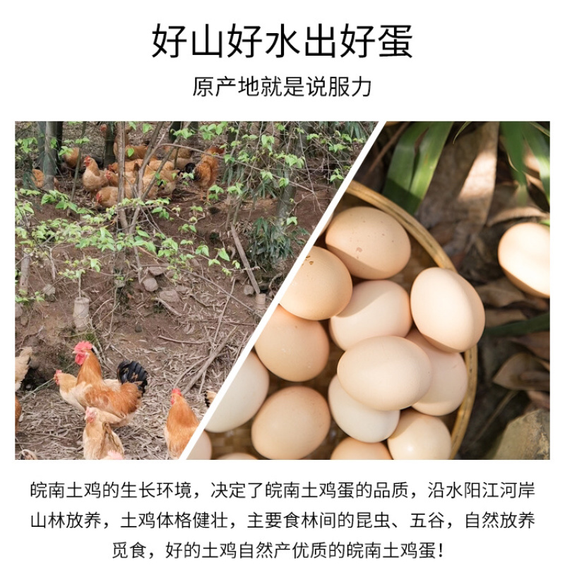 黄泥山土鸡蛋、初生蛋、笨鸡蛋、草鸡蛋