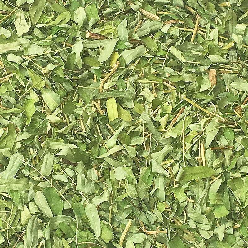 厂家直销晒干的新鲜干净青绿广西鸡骨草藤