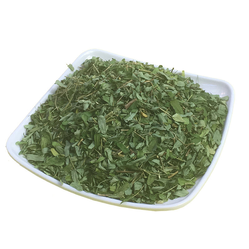 厂家直销晒干的新鲜干净青绿广西鸡骨草藤