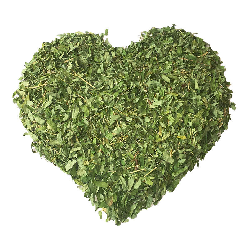 厂家直销晒干的新鲜干净青绿广西鸡骨草藤
