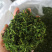 正品广西灵山县特产相思茶相思藤茶养生茶靓货