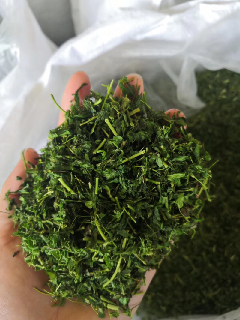正品广西灵山县特产相思茶相思藤茶养生茶靓货