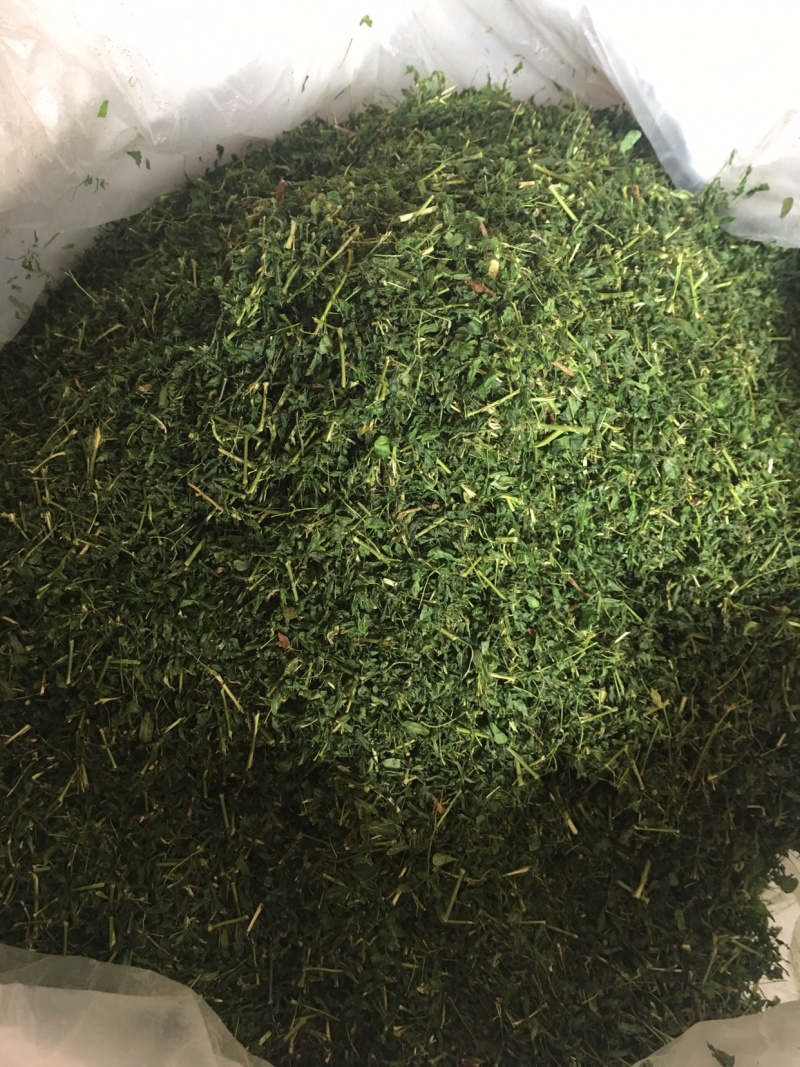 正品广西灵山县特产相思茶相思藤茶养生茶靓货
