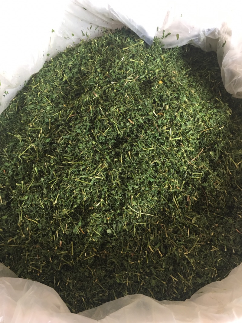 正品广西灵山县特产相思茶相思藤茶养生茶靓货