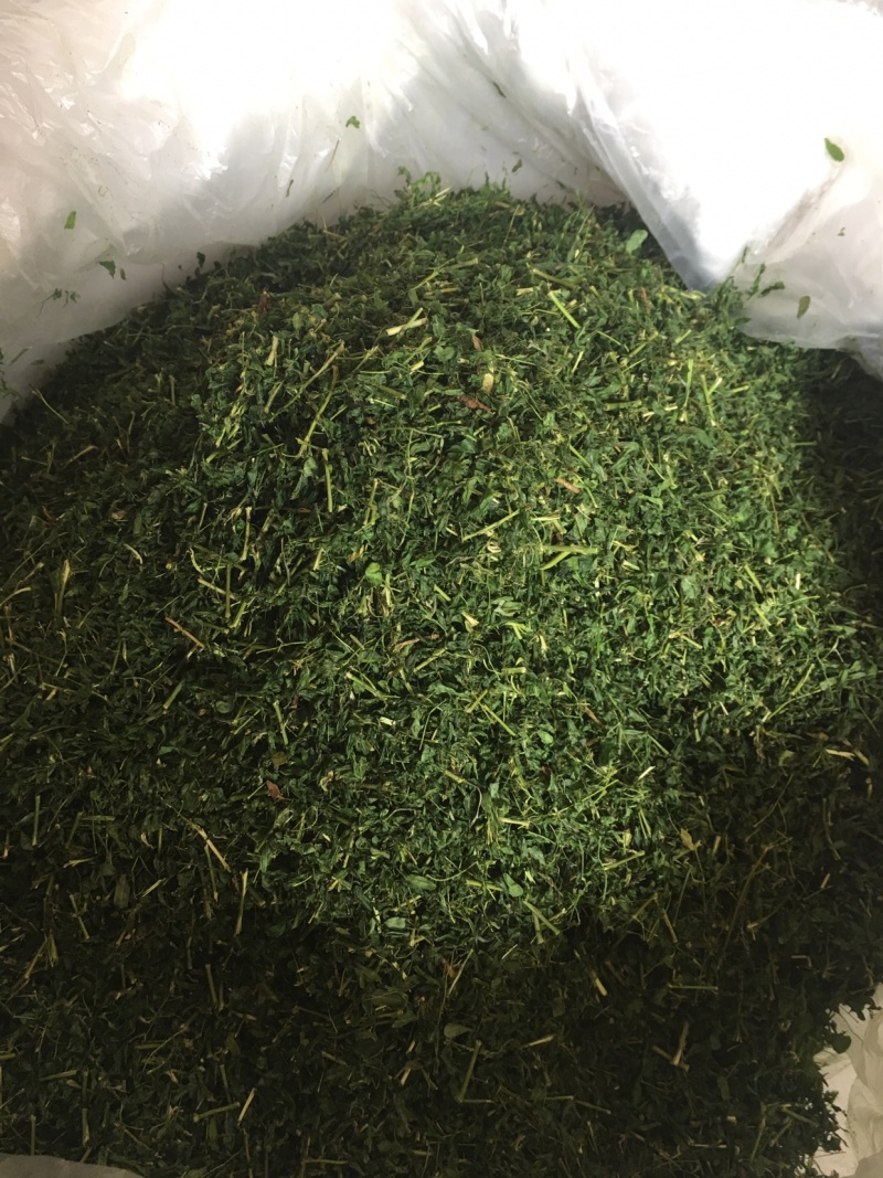 正品广西灵山县特产相思茶相思藤茶养生茶靓货