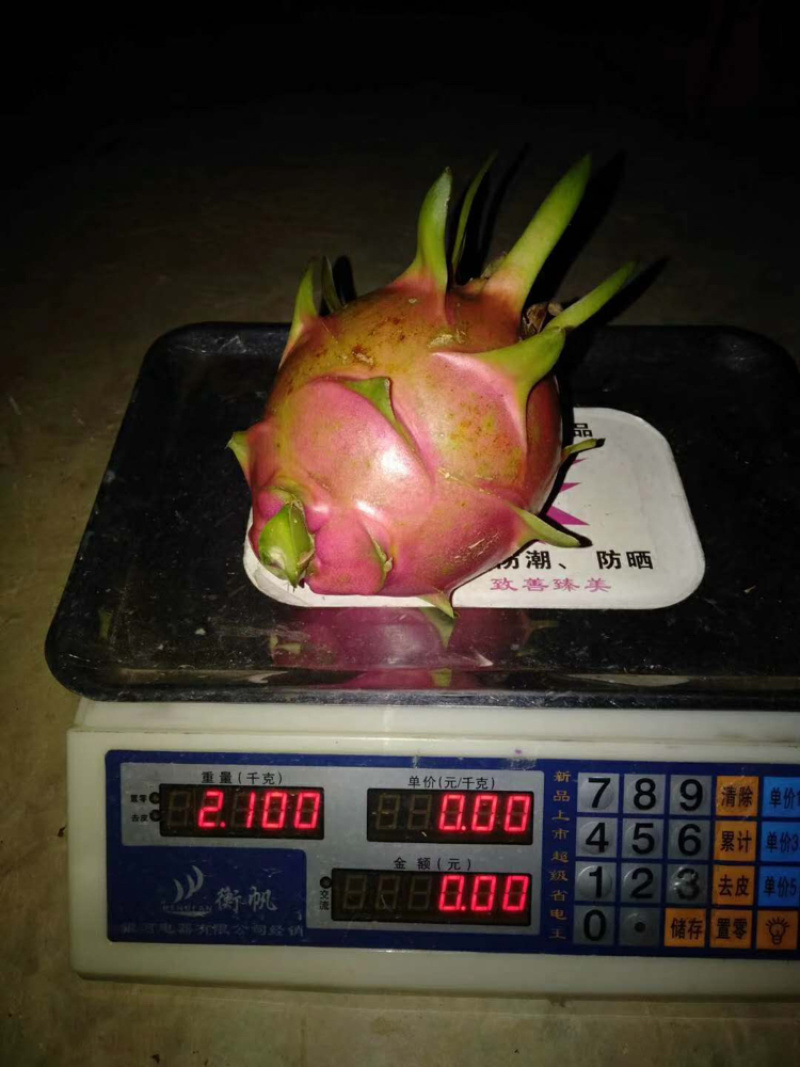云南高原京都红心火龙果