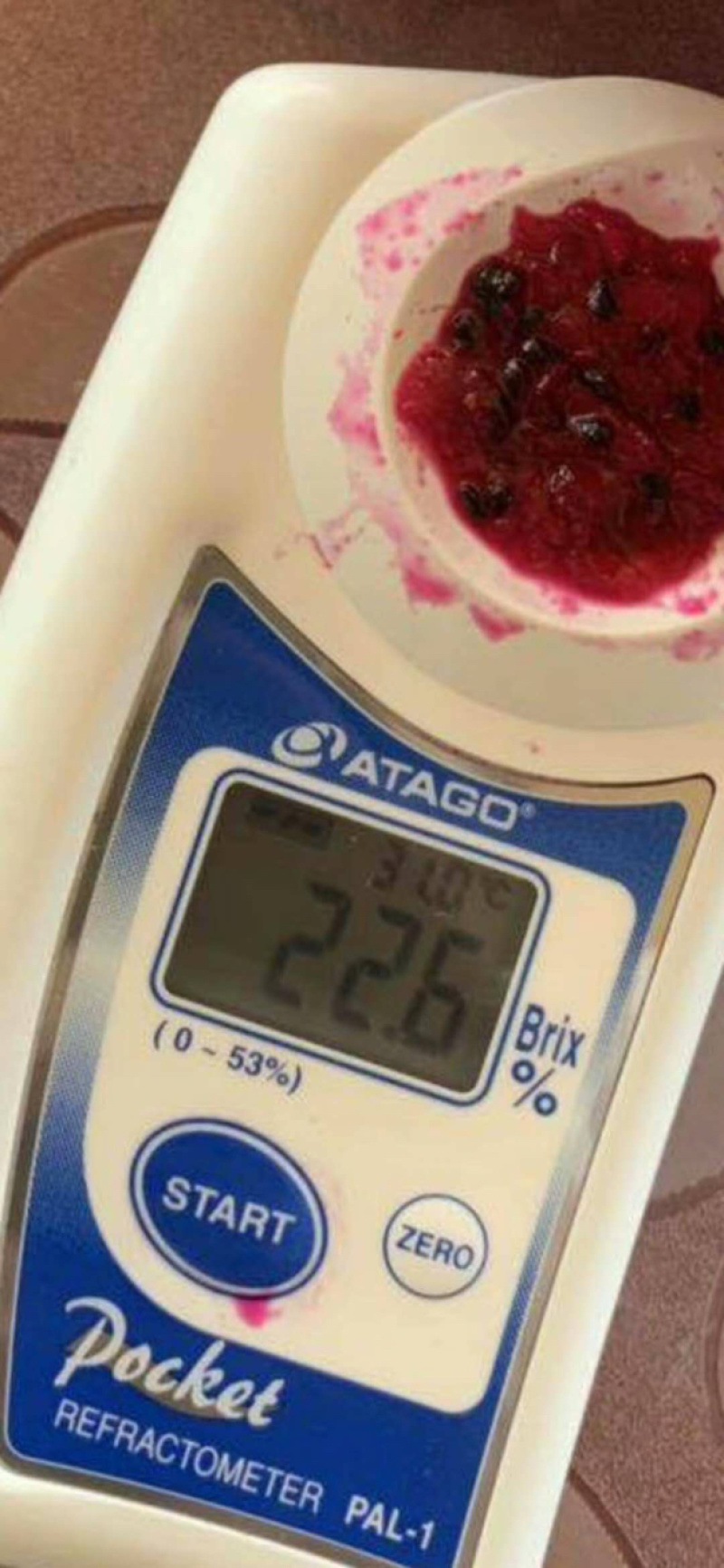 云南高原京都红心火龙果
