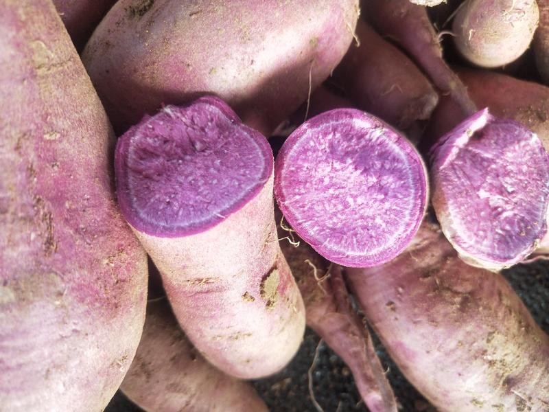 【推荐】湖北红薯紫薯紫罗兰粉糯香甜可视频看货量大从优
