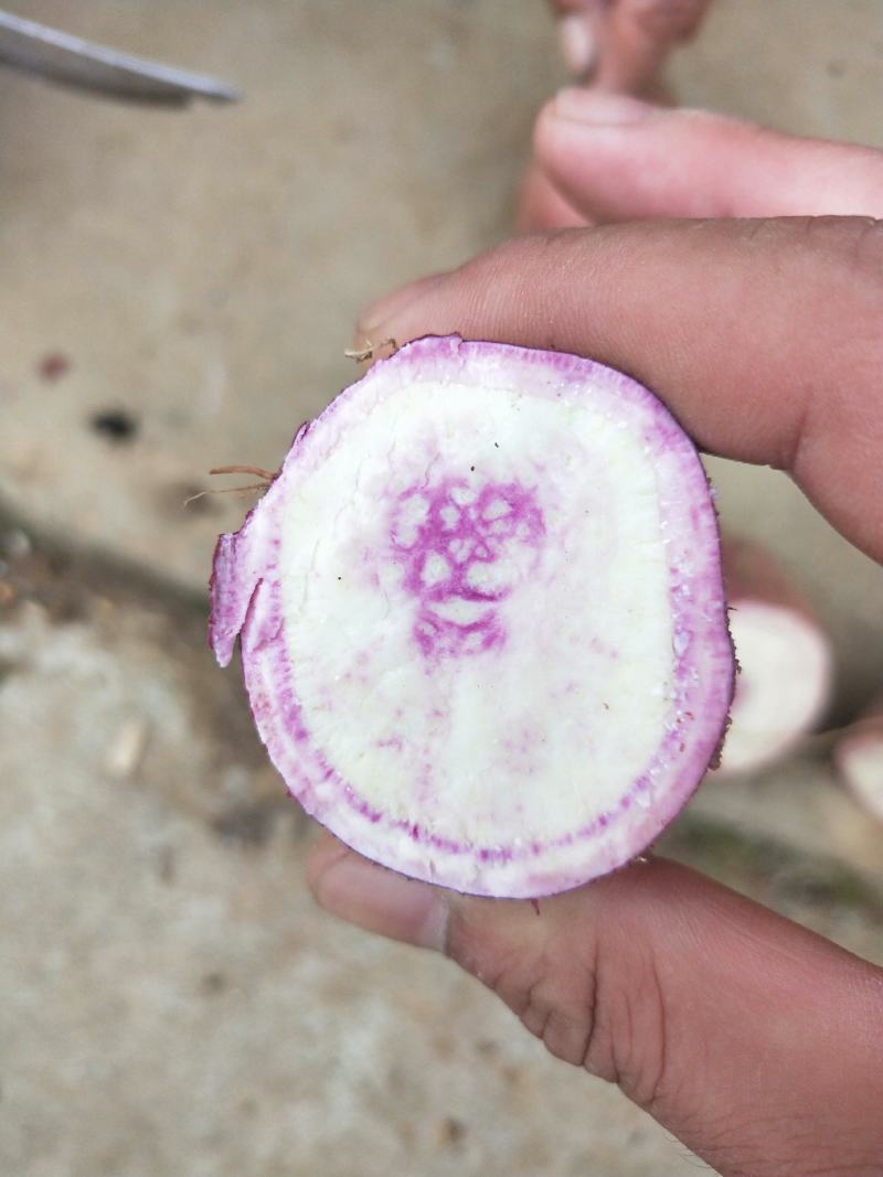 【商超品质】粉糯紫薯粉糯紫罗兰口感香甜量大从优