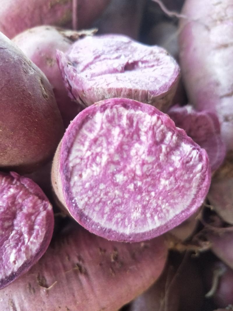 【商超品质】粉糯紫薯粉糯紫罗兰口感香甜量大从优