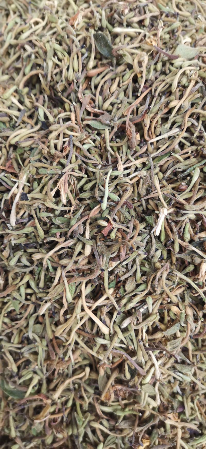 自然晒干无硫金银花花蕾