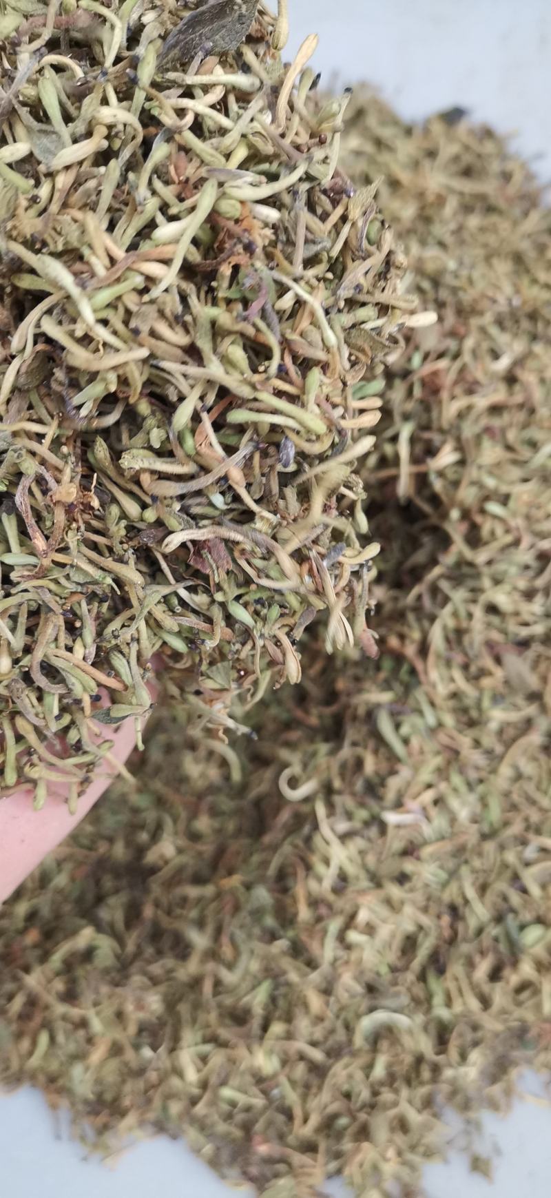 自然晒干无硫金银花花蕾