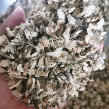 干槐花