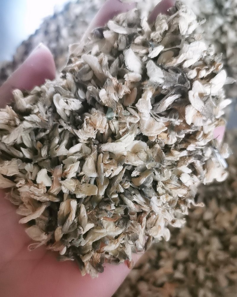 干槐花