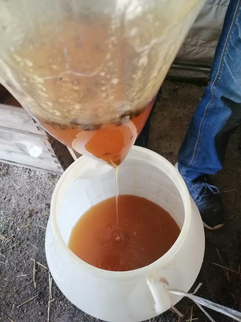 岷县中药材蜂蜜电商直供假一赔十