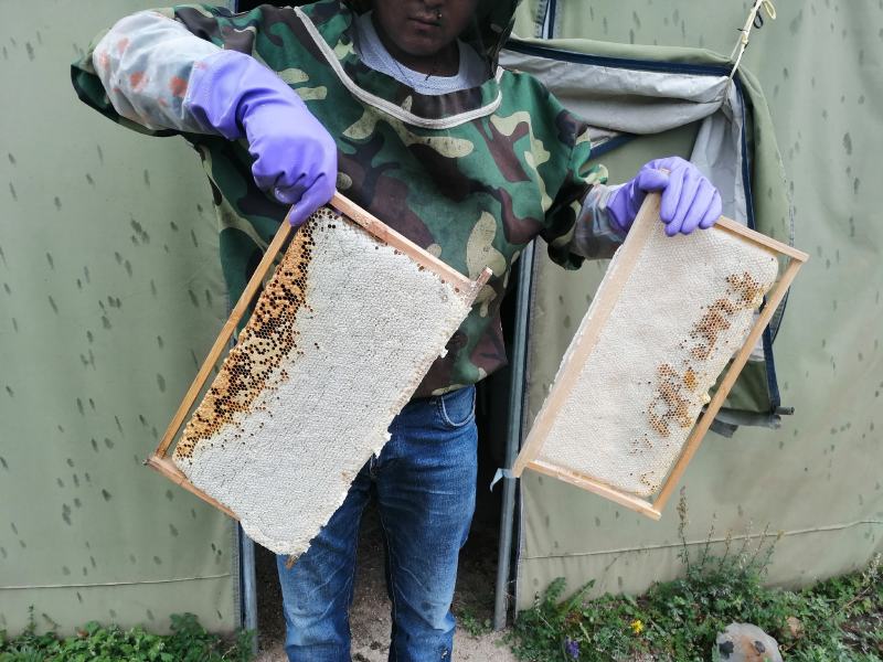 岷县中药材蜂蜜电商直供假一赔十