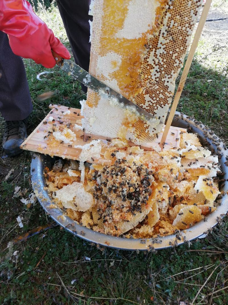 岷县中药材蜂蜜电商直供假一赔十