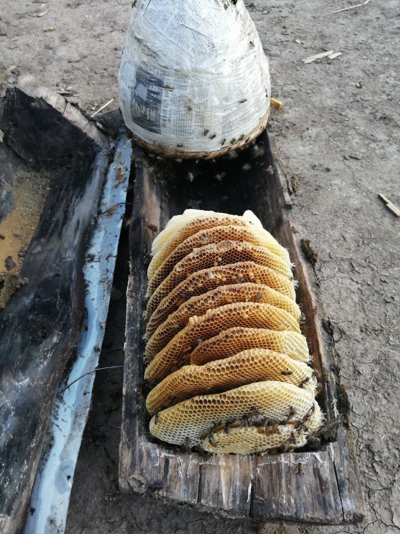 岷县中药材蜂蜜电商直供假一赔十
