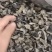 小兴安岭林都伊春头茬黑木耳，秋木耳，朵厚，肉弹产地直销