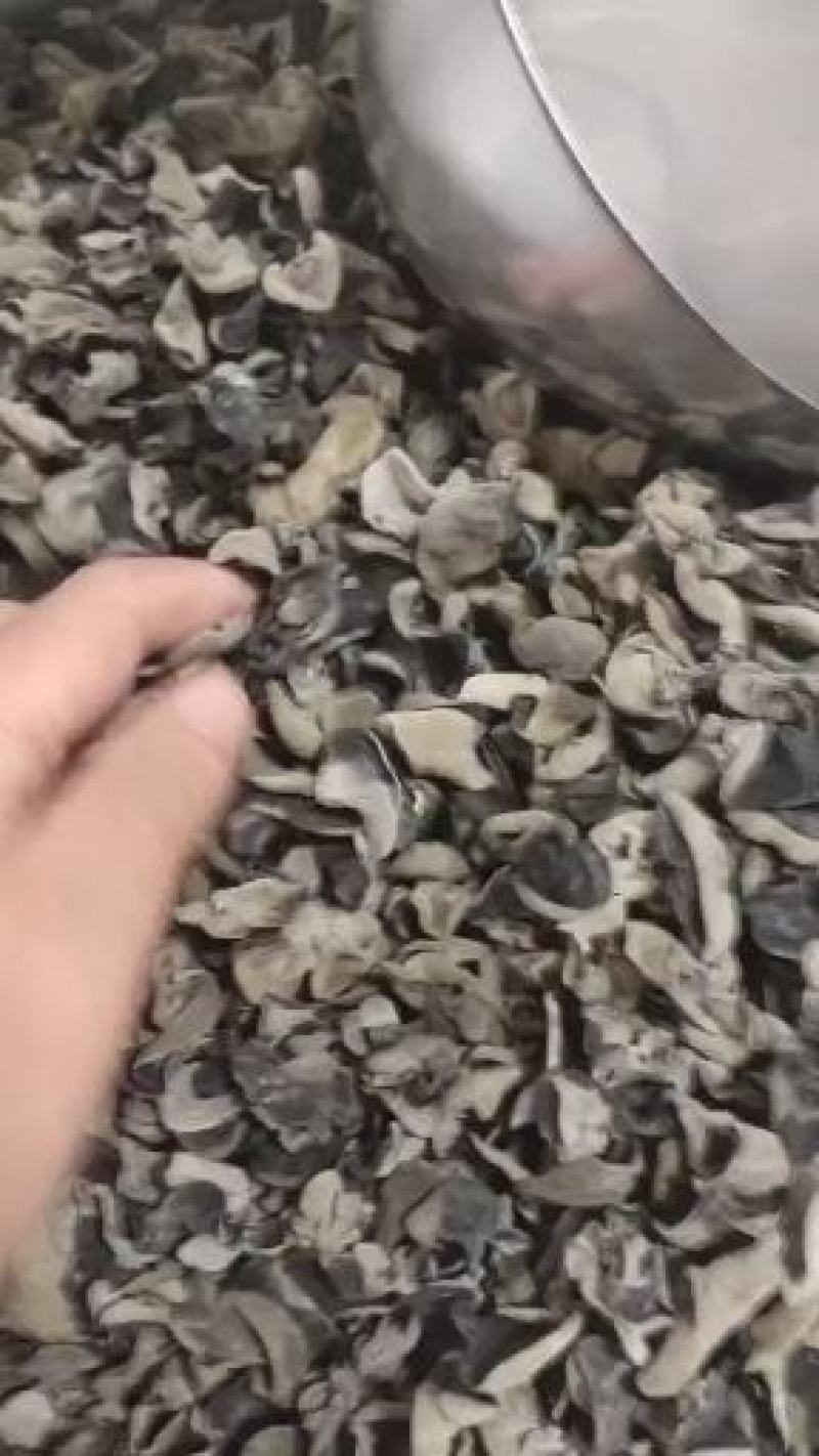 小兴安岭林都伊春头茬黑木耳，秋木耳，朵厚，肉弹产地直销