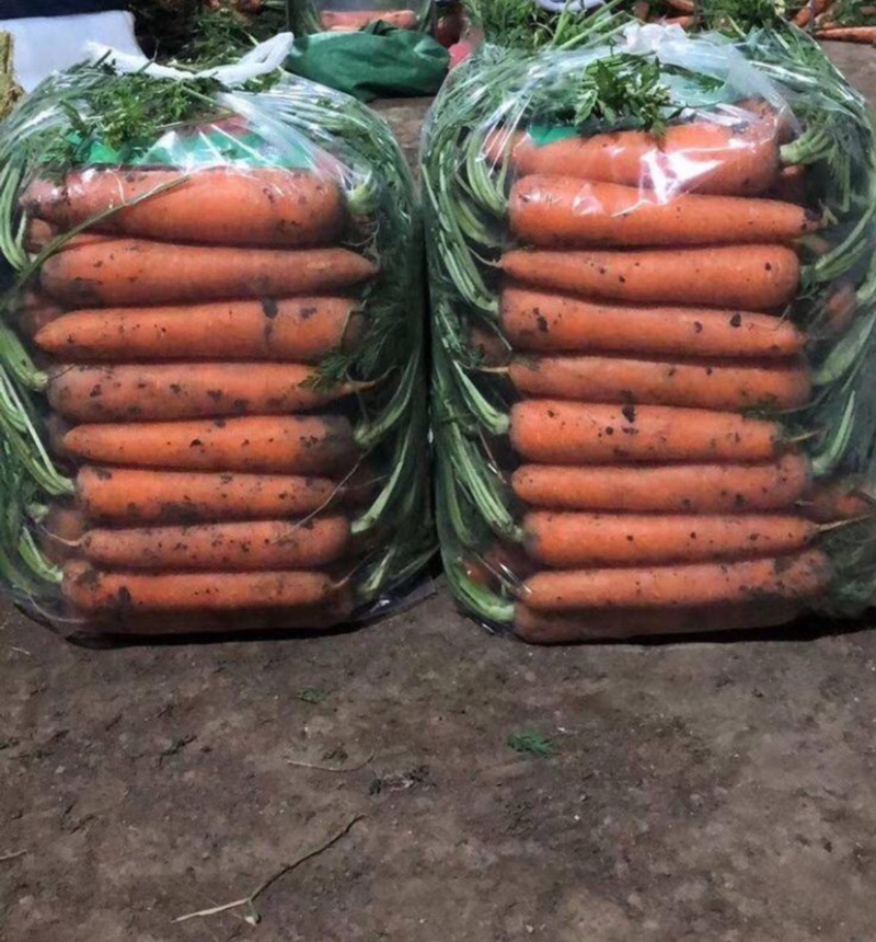 胡萝卜精品胡萝卜中条胡萝卜带泥胡萝卜
