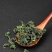 蒲公英。2020年新蒲公英茶正品特级野生蒲公英茶叶婆婆丁