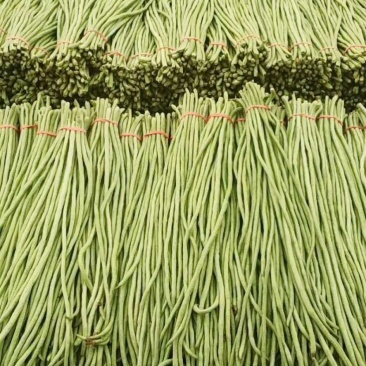 豇豆长豆角可哄超市质量一级