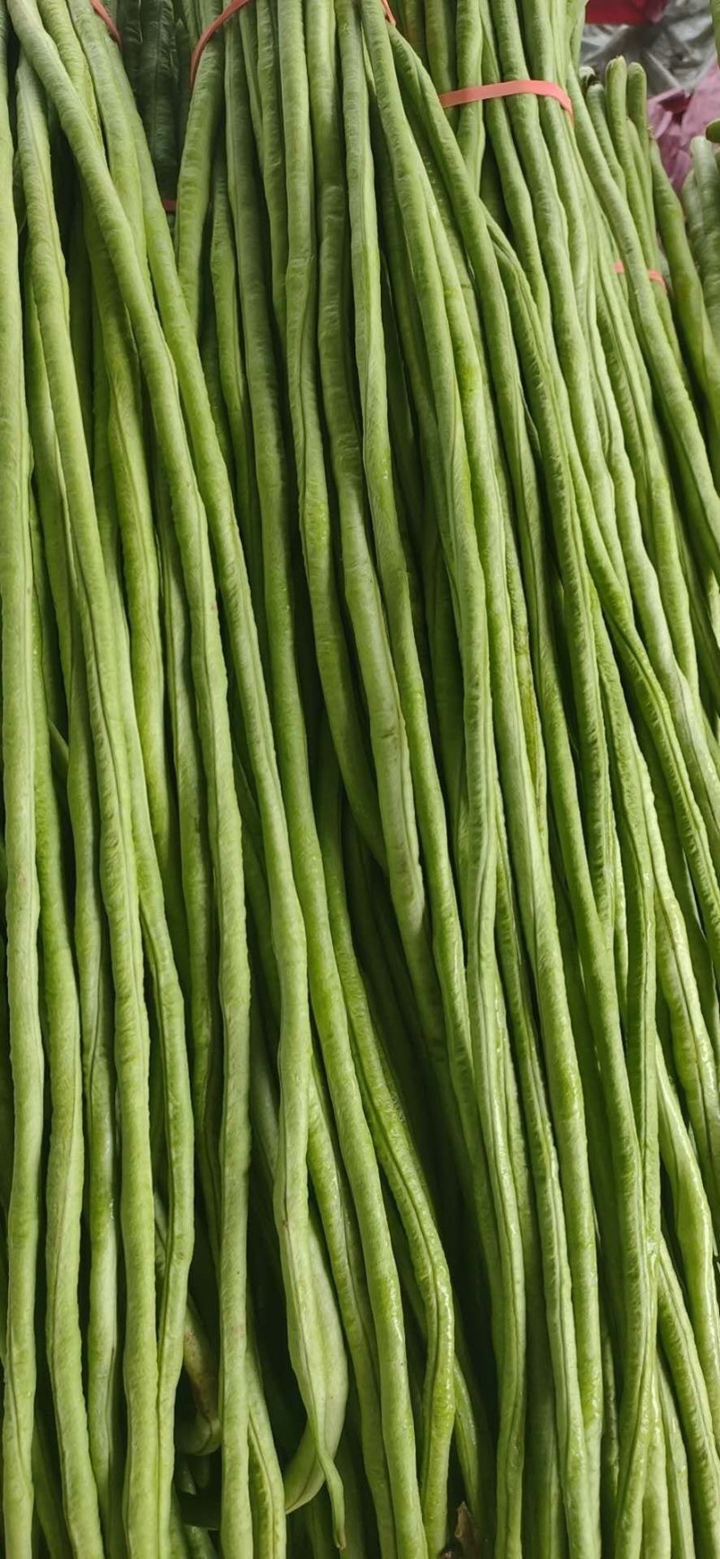 豇豆长豆角可哄超市质量一级