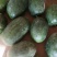 河北广宗有大量沙地西瓜，保质保量保甜