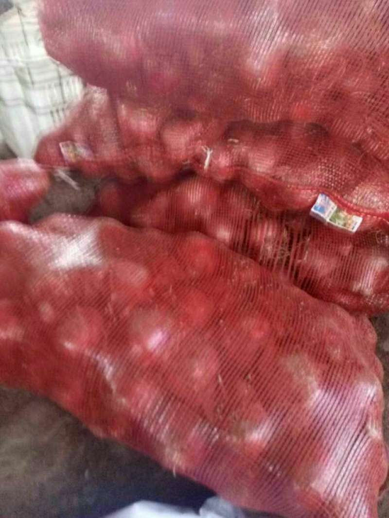 优质洋葱山西产地直销红皮洋葱量大价优