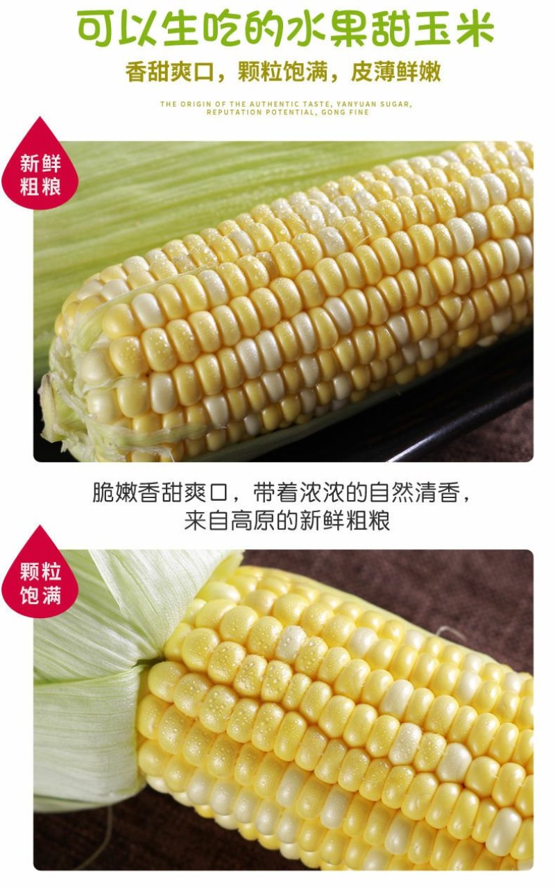 云南当季新鲜水果玉米爆浆金银双色甜心可生吃带皮甜糯玉米棒