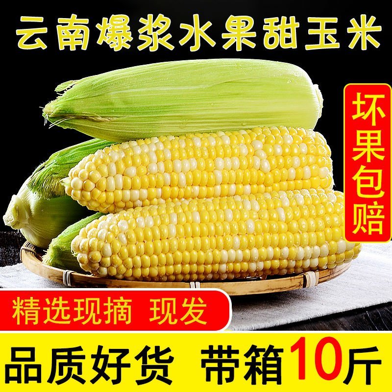 云南当季新鲜水果玉米爆浆金银双色甜心可生吃带皮甜糯玉米棒