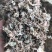 【文斌药业】小叶金钱草正品地道药材