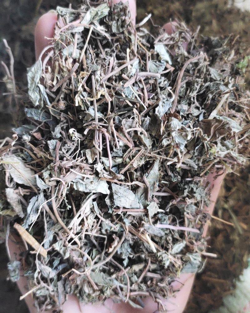 【文斌药业】小叶金钱草正品地道药材