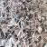 【文斌药业】小叶金钱草正品地道药材