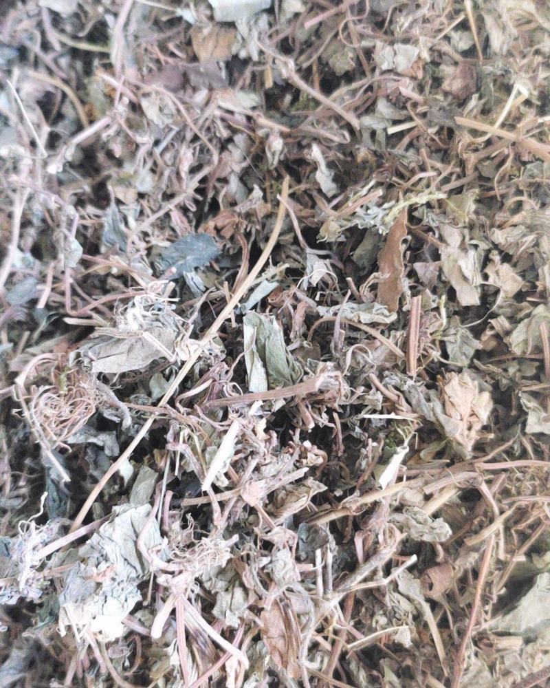 【文斌药业】小叶金钱草正品地道药材