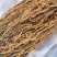 江苏精品干豆角新鲜干豆角红烧肉炖豆角量大从优