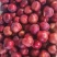 布朗李子大量有货，口感甘甜。欢迎前来采购